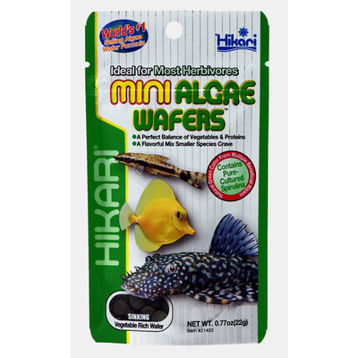 Hikari Mini Algae Wafers 85 gram