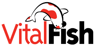 VitalFish - Vijver en aquariumcentrum in Boskoop